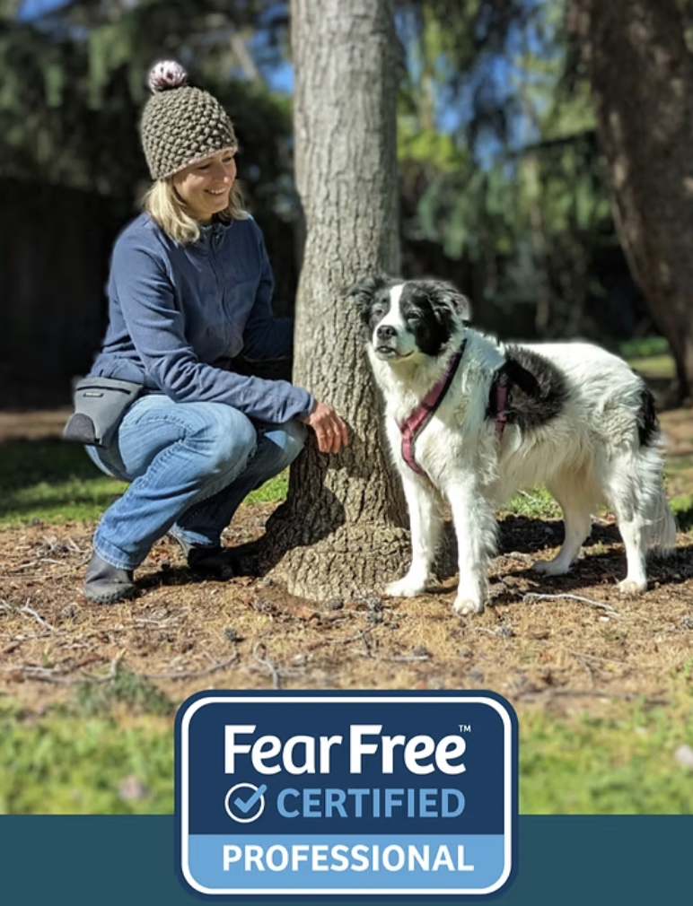 Corinne Kaelin with a border collie under a tree